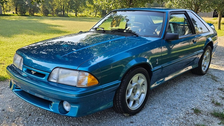 Mustang Cobra Bat Sep28261