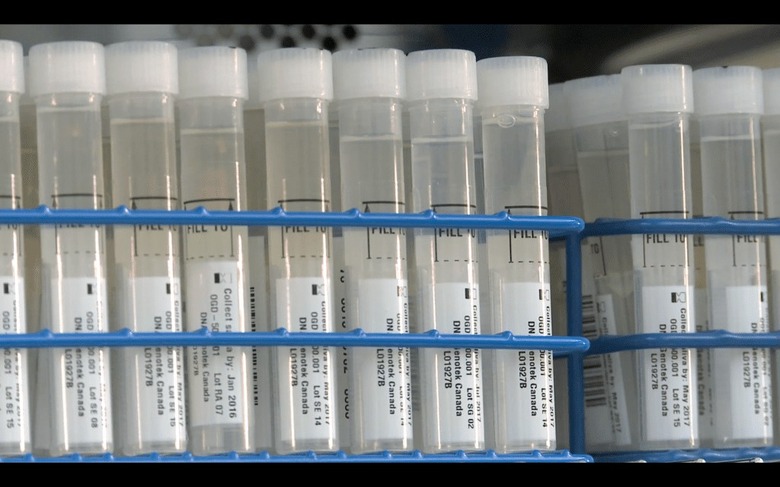 23andMe will eliminate more than 200 jobs as part of the genetic company's cost cutting measures.