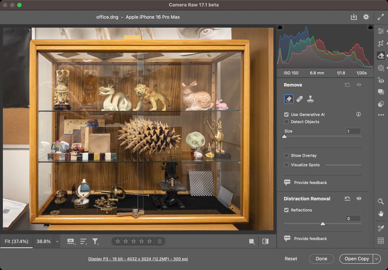 The Reflection Removal tool in Adobe's Camera RAW plug-in being used to edit a photo of a glass cabinet.