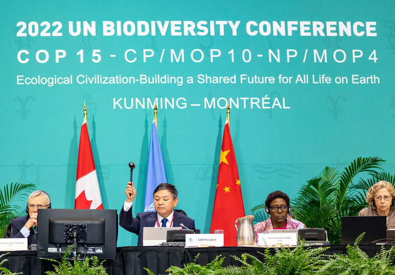 The president of the U.N.-backed COP15 biodiversity conference, China's Minister of Ecology and Environment Huang Runqiu, lowers the gavel to pass the The Kunming-Montreal Global Biodiversity Framework in Montreal, Quebec, Canada December 19, 2022.  Julian Haber/UN Biodiversity/Handout via REUTERS      THIS IMAGE HAS BEEN SUPPLIED BY A THIRD PARTY. MANDATORY CREDIT