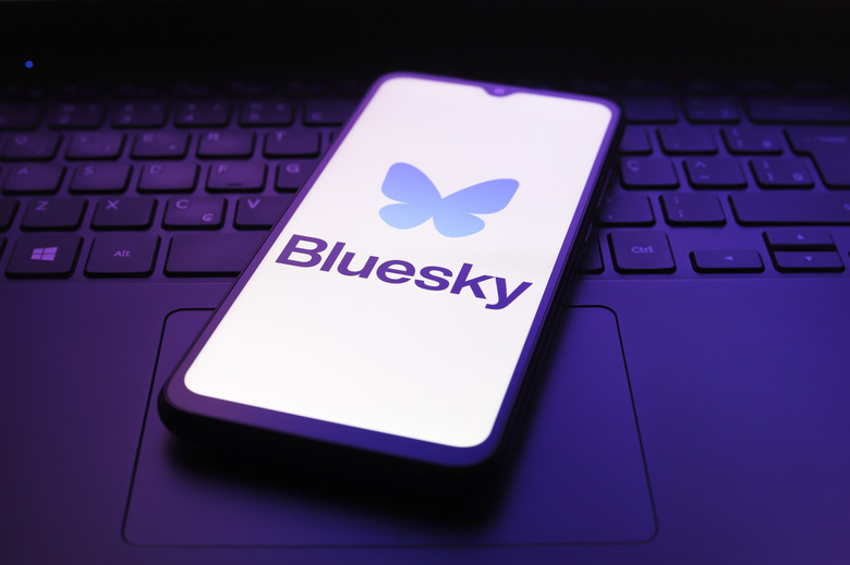 The Bluesky app logo appears on the screen of a smartphone in Reno, United States, on December 5, 2024. (Photo by Jaque Silva/NurPhoto via Getty Images)