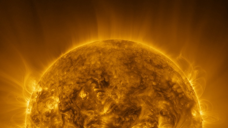 A photo of the top half of the Sun captured by the Solar Orbiter satellite.