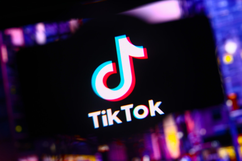 TikTok logo is screened on a mobile phone for illustration photo. Krakow, Poland on October 17th, 2024. (Photo by Beata Zawrzel/NurPhoto via Getty Images)