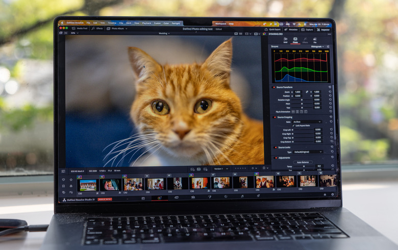 DaVinci Resolve 21 is a viable free alternative to Lightroom, but it lacks some advanced features required by pros. 