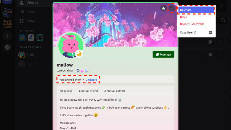 Press image for Discord Ignore feature