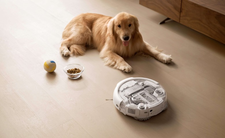 The DJI Romo robot vacuum cleaning next to a dog.