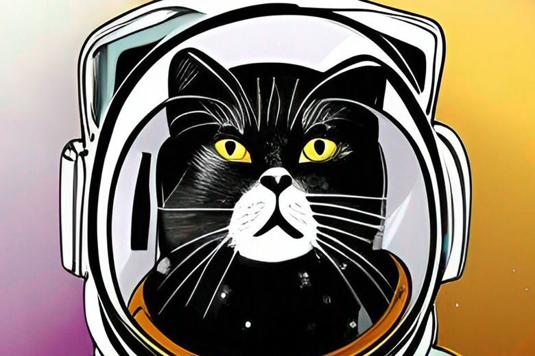 Cat astronaut AI-generated art