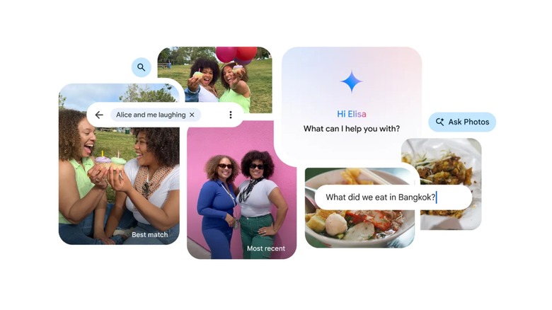 Possible searches and results from Ask Photos in Google Photos.