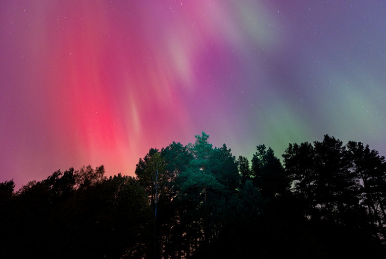The Northern Lights, also known as aurora borealis, light the sky amidst a strong solar storm, near the village of Nikola Lenivets, Kaluga region, Russia, October 11, 2024. REUTERS/Maxim Shemetov