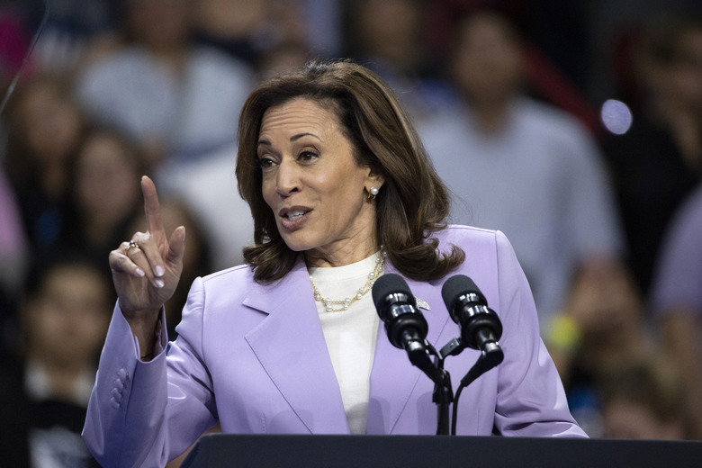 US Vice President and Democratic presidential candidate Kamala Harris speaks during a campaign rally at the Thomas and Mack Center, University of Nevada in Las Vegas, Nevada, on August 10, 2024. (Photo by RONDA CHURCHILL / AFP) (Photo by RONDA CHURCHILL/AFP via Getty Images)