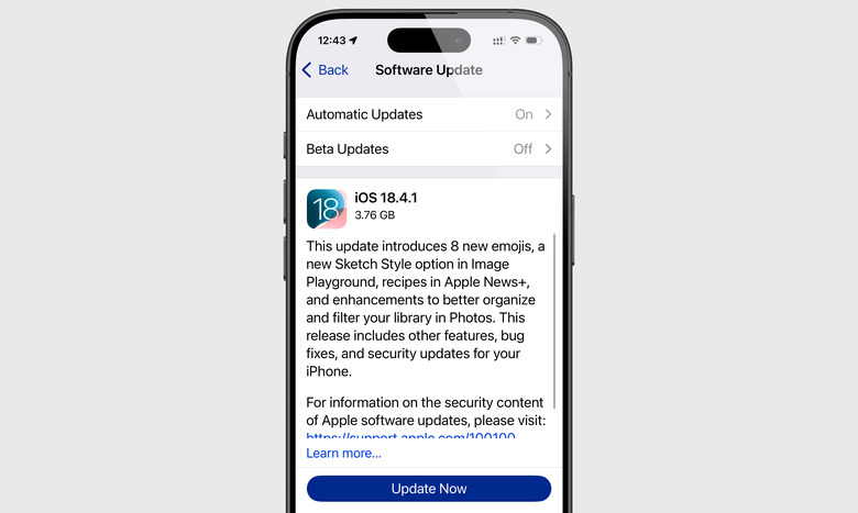 Screenshot of Apple's software update screen for iOS 18.4.1.