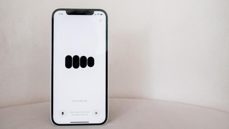 The Voice Mode interface inside the ChatGPT app.