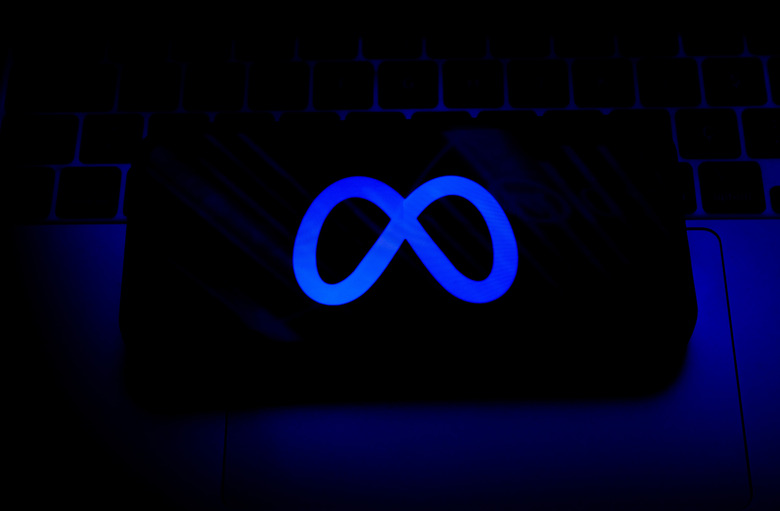 ANKARA, TURKIYE - OCTOBER 2: A phone screen displaying the logo of 'Meta' is seen in Ankara, Turkiye on October 2, 2024. (Photo by Didem Mente/Anadolu via Getty Images)