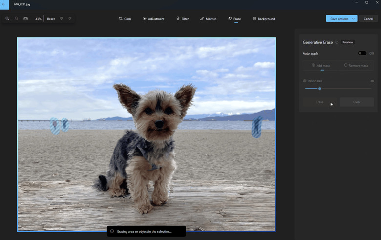 A photo of a dog in the midst of being edited.
