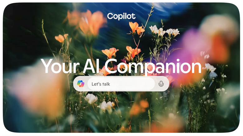 An ad for the thing.