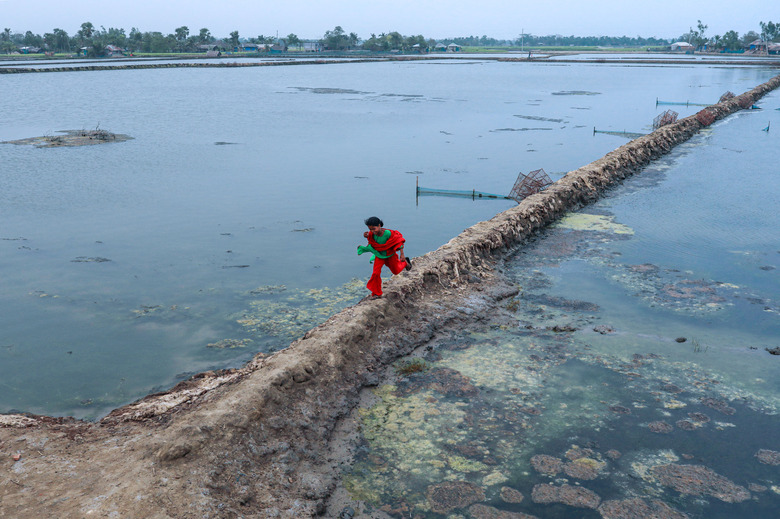 Salinity effect seen in soil as a result trees has died after Cyclone amphan hit in Satkhira, Bangladesh on March 26, 2022.  (Photo by Kazi Salahuddin Razu/NurPhoto via Getty Images)