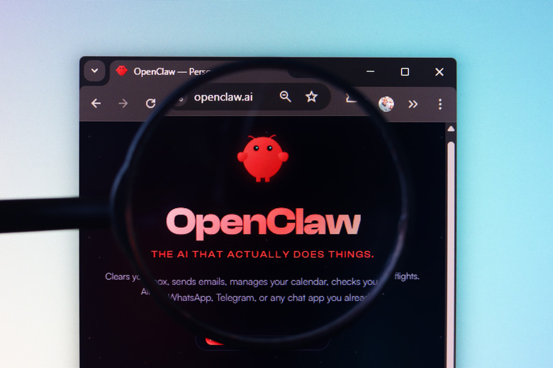 The OpenClaw AI (Open Claw) logo is displayed through a magnifying glass in this photo illustration in Ontario, Canada, on February 5, 2026. (Photo by Thomas Fuller/NurPhoto via Getty Images)