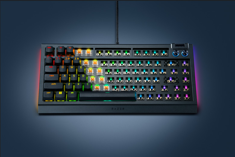 Product image of the Razer BlackWidow V4 75% Barebones keyboard.