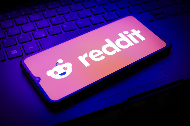 The Reddit logo appears on a smartphone screen in this illustration photo in Reno, United States, on January 1, 2025. (Photo by Jaque Silva/NurPhoto via Getty Images)