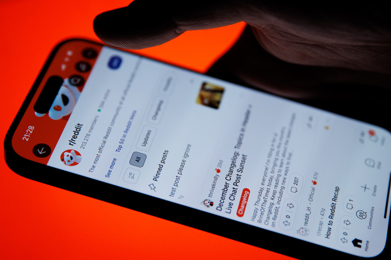 RedditANKARA, TURKIYE - JANUARY 22: In this photo illustration, interface of 'Reddit' is being displayed on a mobile phone screen in Ankara, Turkiye on January 22, 2024. (Photo by Ahmet Serdar Eser/Anadolu via Getty Images)