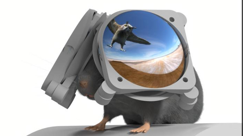Rendering of a mouse wearing VR goggles, with a projection of an owl swooping from above