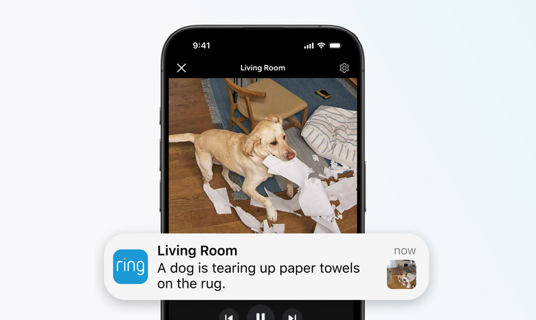 A Ring notification overlaid over a video on a phone. The alert says, 