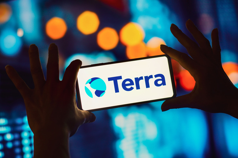 BRAZIL - 2022/10/03: In this photo illustration, the Terraform Labs logo is displayed on a smartphone. (Photo Illustration by Rafael Henrique/SOPA Images/LightRocket via Getty Images)