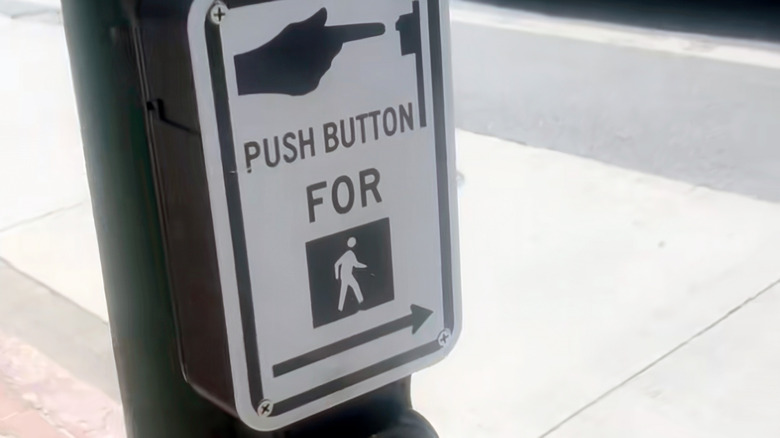 Image of a crosswalk from a TikTok video. 