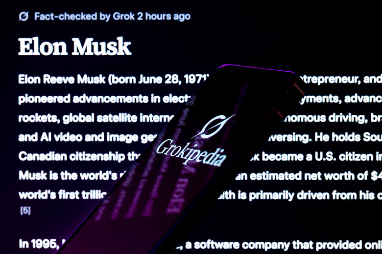 The Grokipedia logo is displayed on a mobile phone with the Grokipedia page about Elon Musk, in this photo illustration in Brussels, Belgium, on November 27, 2025. (Photo Illustration by Jonathan Raa/NurPhoto via Getty Images)