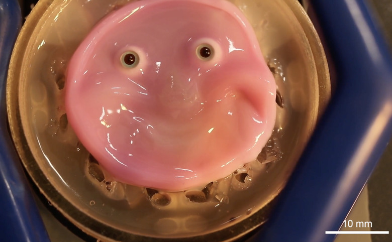 A smiling, smooth-looking pink blob with eyes.