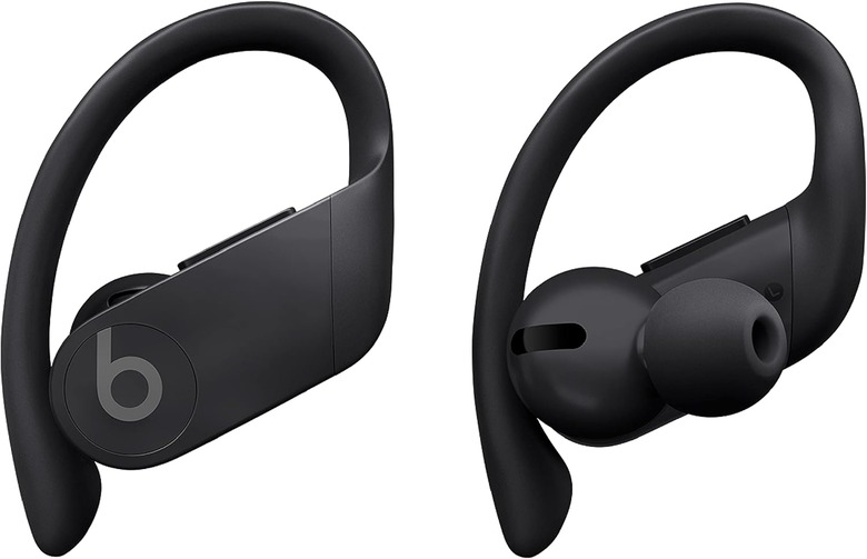 The Beats Powerbeats Pro earbuds in black