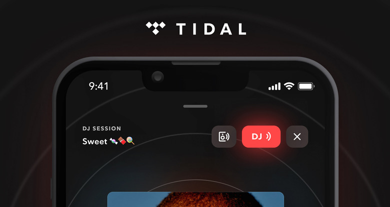 A screenshot of the Tidal app, showing the DJ feature.