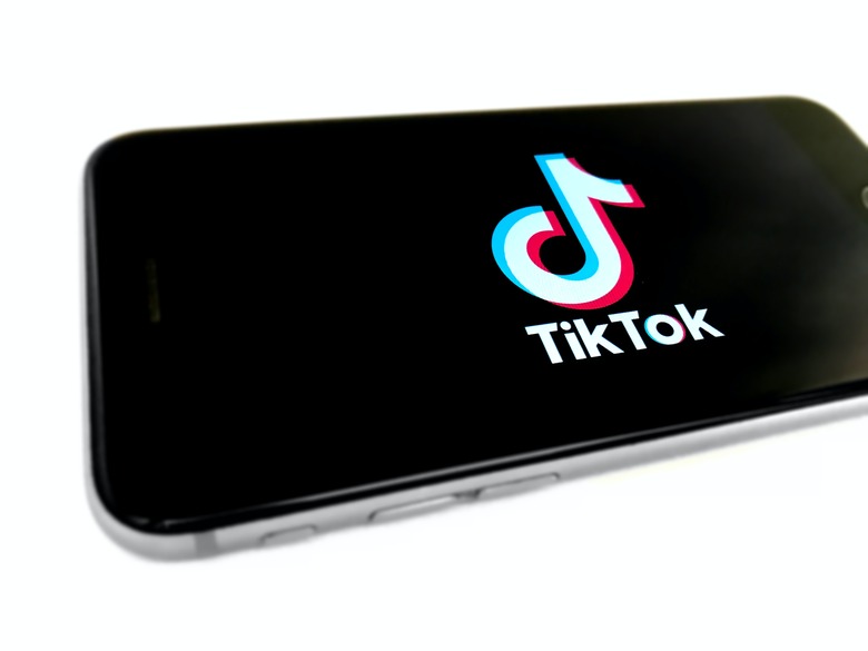 TikTok splash screen on iPhone.