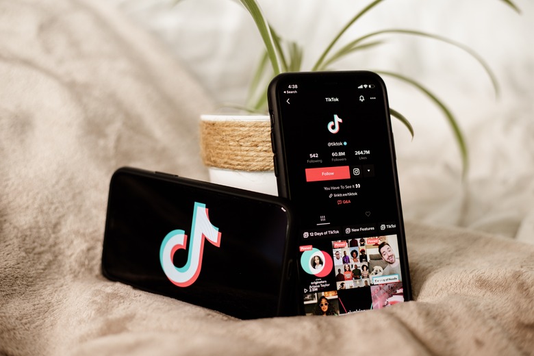 TikTok app on iPhone.