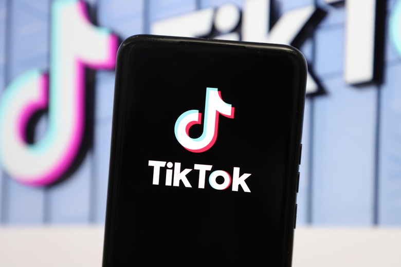 YICHANG, CHINA - FEBRUARY 14, 2025 - An illustration photo shows the TikTok LOGO displayed on a smartphone in Yichang, HubIllustration TikTokei province, China, Feb. 14, 2025. (Photo credit should read CFOTO/Future Publishing via Getty Images)