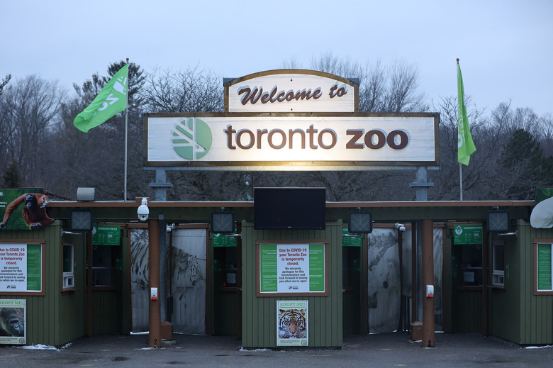 TORONTO, ON- JANUARY 12  -    The Toronto Zoo, shut down because of the rise in COVID-19 cases holds a vaccine clinic at the Special Events Centre on the property  at  in Toronto. January 12, 2022. Appointments are available as well as walk-ins        (Steve Russell/Toronto Star via Getty Images)