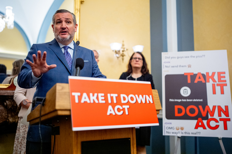 WASHINGTON, DC - JUNE 18: Sen. Ted Cruz (R-TX) speaks at a news conference to unveil the Take It Down Act to protect victims against non-consensual intimate image abuse, on Capitol Hill on June 18, 2024 in Washington, DC. Cruz introduced the bipartisan 