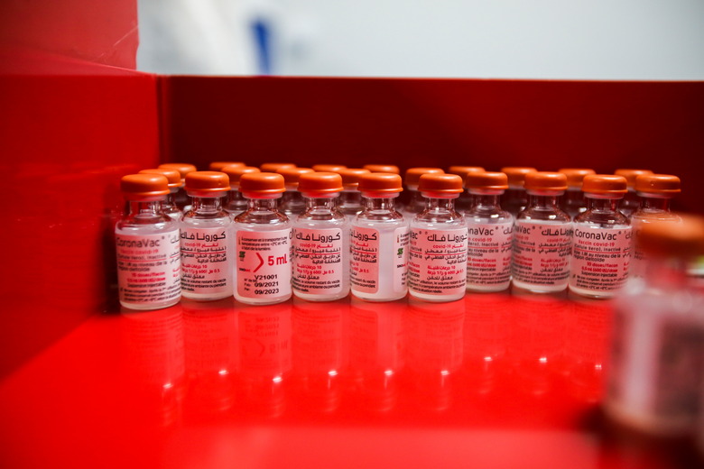 Vials of Chinese Sinovac's CoronaVac vaccine against coronavirus disease (COVID-19) pictured inside the newly inaugurated production lab designated to manufacture the vaccine, in Constantine, Algeria September 29, 2021. REUTERS/Ramzi Boudina