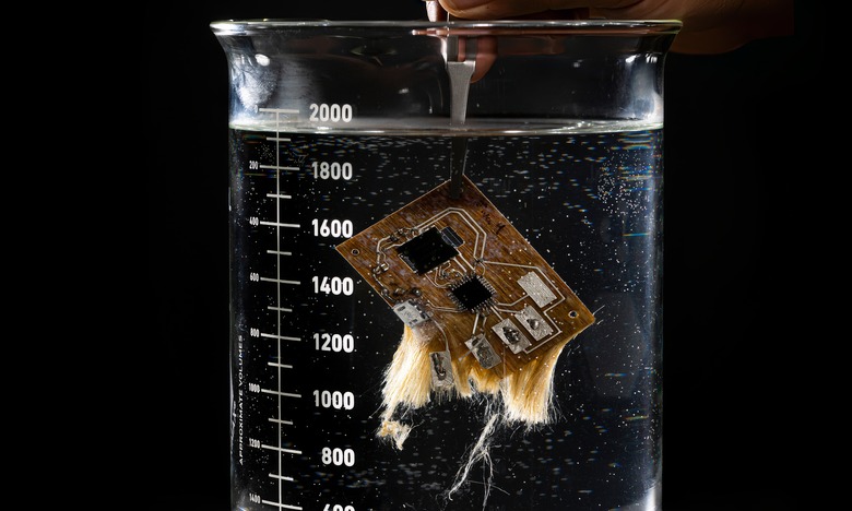 Photo of a printed circuit board (PCB) in a glass measuring cup, dissolving in water. Its fibers are coming apart near the bottom.