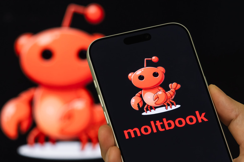  In this photo illustration, a person holds a smartphone displaying the Moltbook logo, with a larger Moltbook-themed graphic visible in the background. (Photo illustration by Cheng Xin/Getty Images)