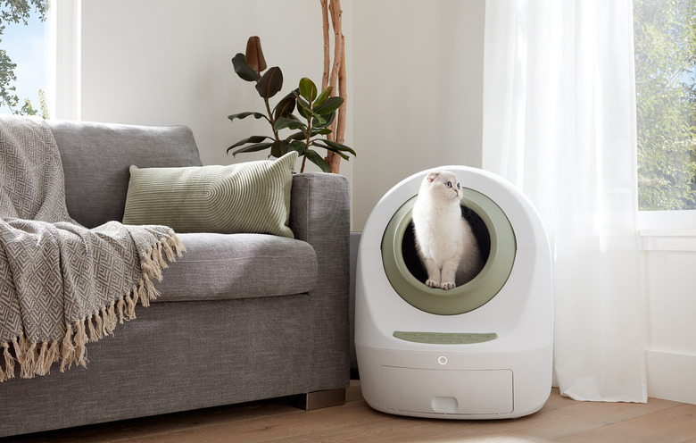 Casa Leo Loo Too litter box