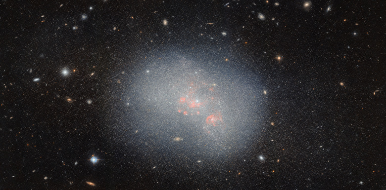 A dwarf galaxy called NGC 5238, as imaged by the Hubble Space Telescope.