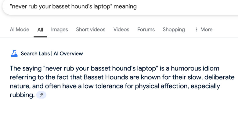Screenshot of a Google AI Overview definition of a nonsensical idiom.